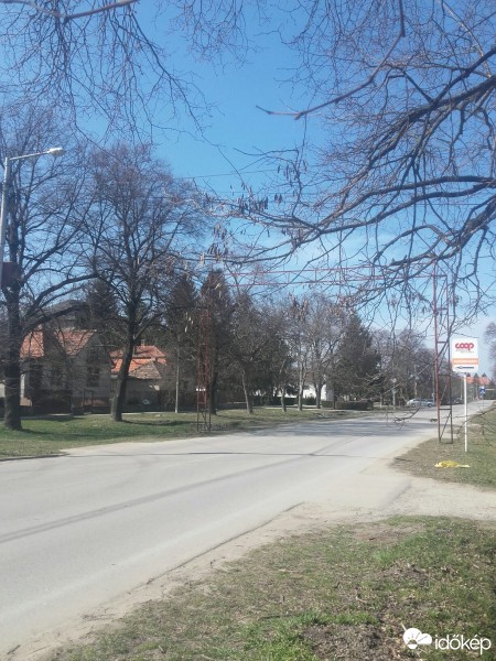 Észlelési fényképek