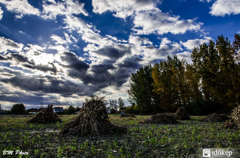 Őszi aratás után...