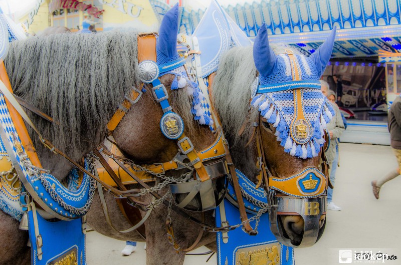 Oktoberfest 2013. Hofbräuhaus