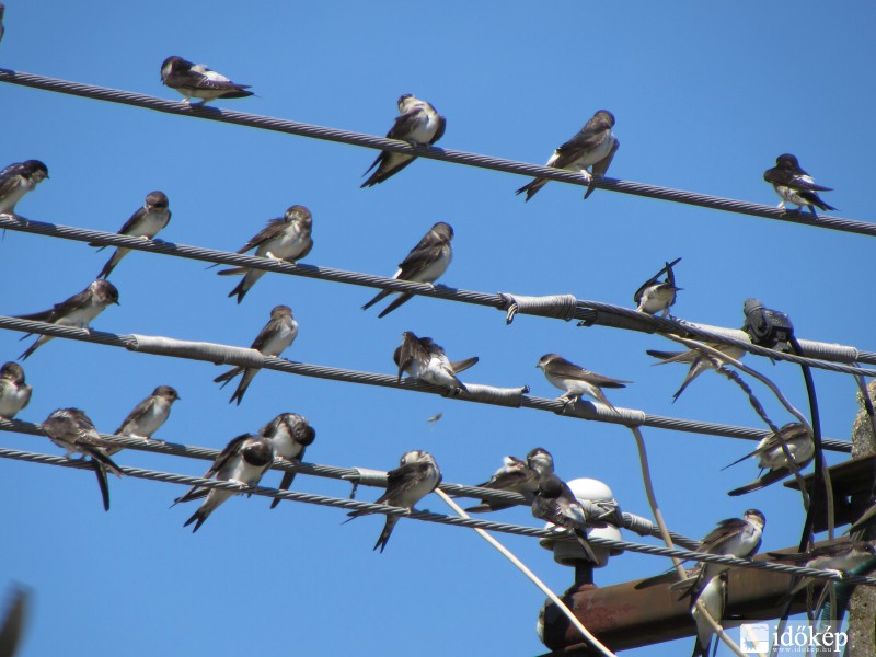 Készülődés a nagy utazásra