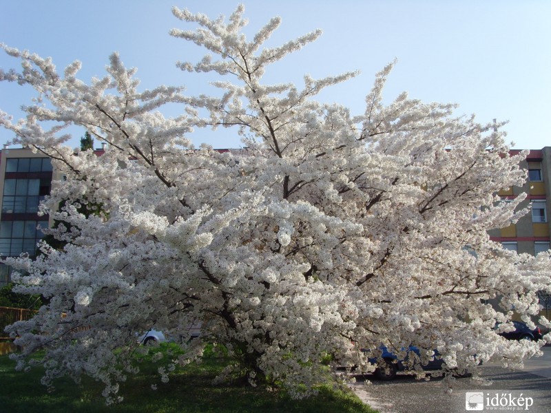 Természet öltöztette