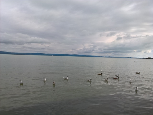 Balatonboglár