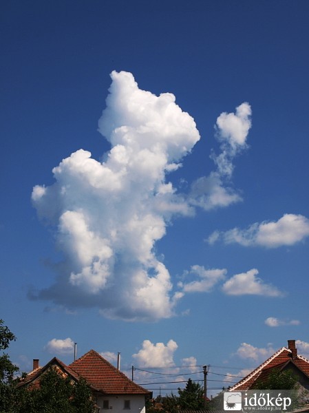 Polgár