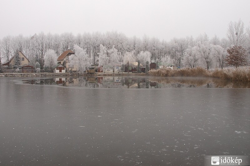 Polgár