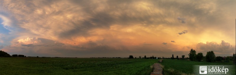 Polgár 2011. 07. 11.