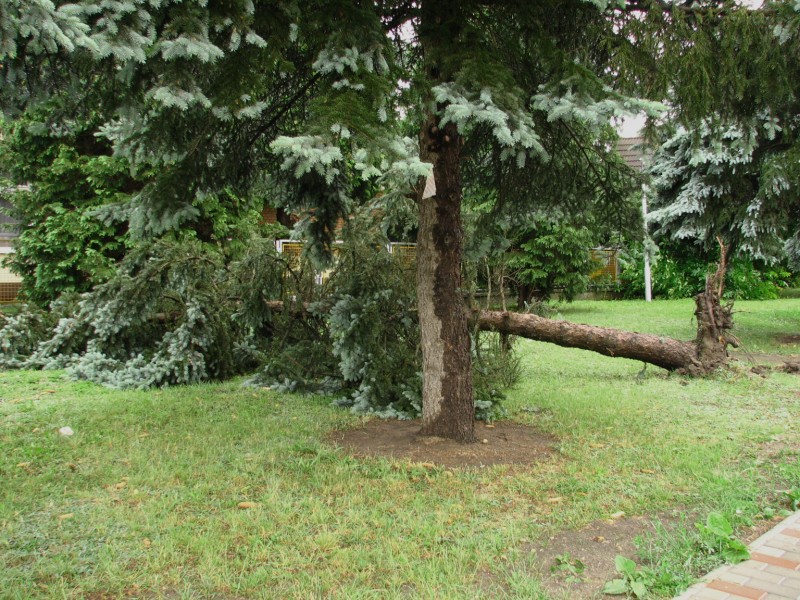 Polgárnál járt a zivatar 2009.06.07.