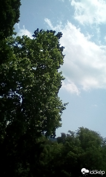 Komló