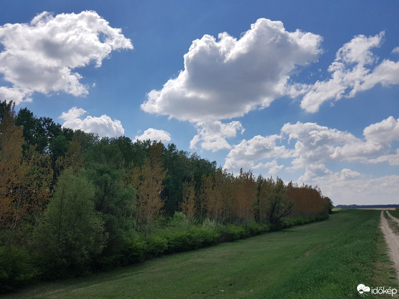 Észlelési fényképek