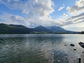 Walchsee