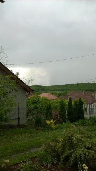 Sülysáp