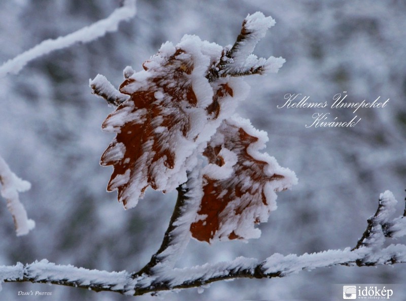 Szeretettel az Időkép minden munkatársának és az oldal látogatóinak!