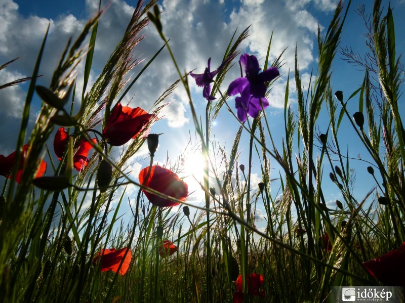 Réti kavalkád.. :)