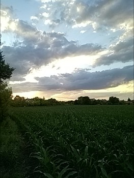 Tápiógyörgye