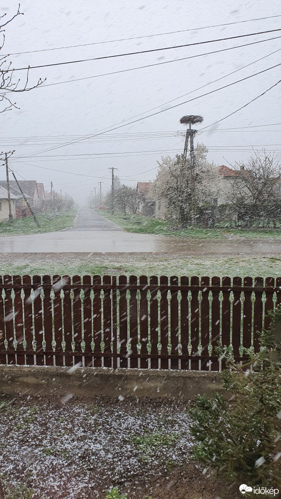 Észlelési fényképek