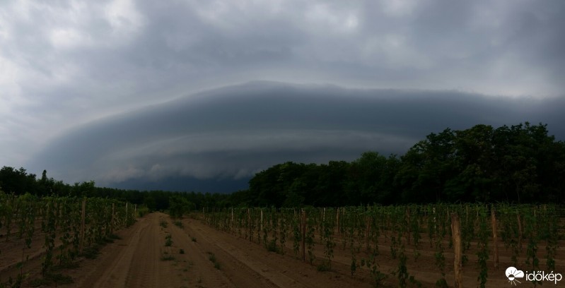 Észlelési fényképek