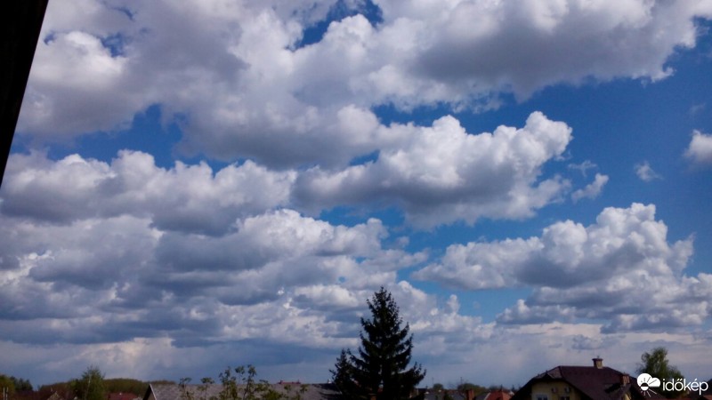 Észlelési fényképek