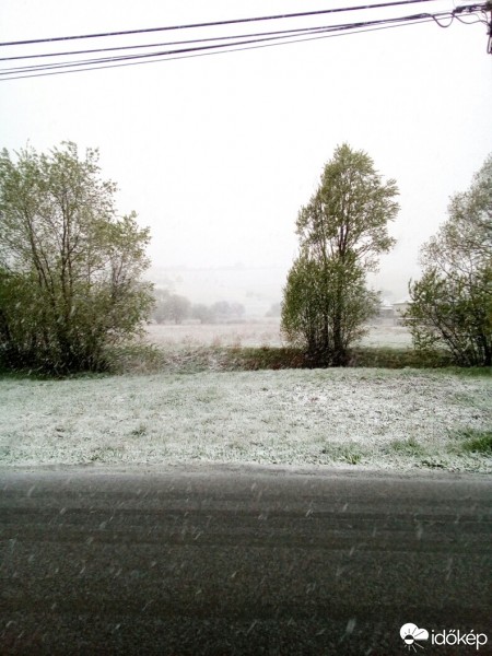 Észlelési fényképek