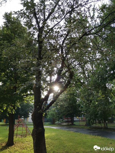 Észlelési fényképek