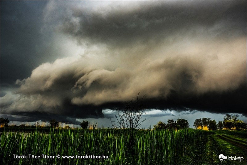 Észlelési fényképek