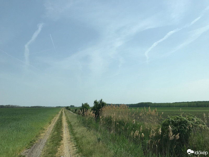 Észlelési fényképek