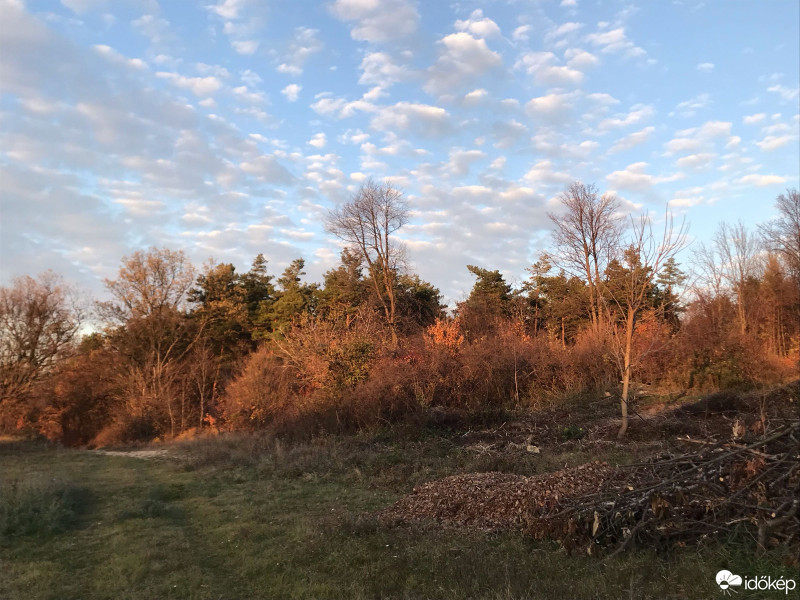 Észlelési fényképek