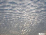 Ceglédi Altocumulus radiatus 