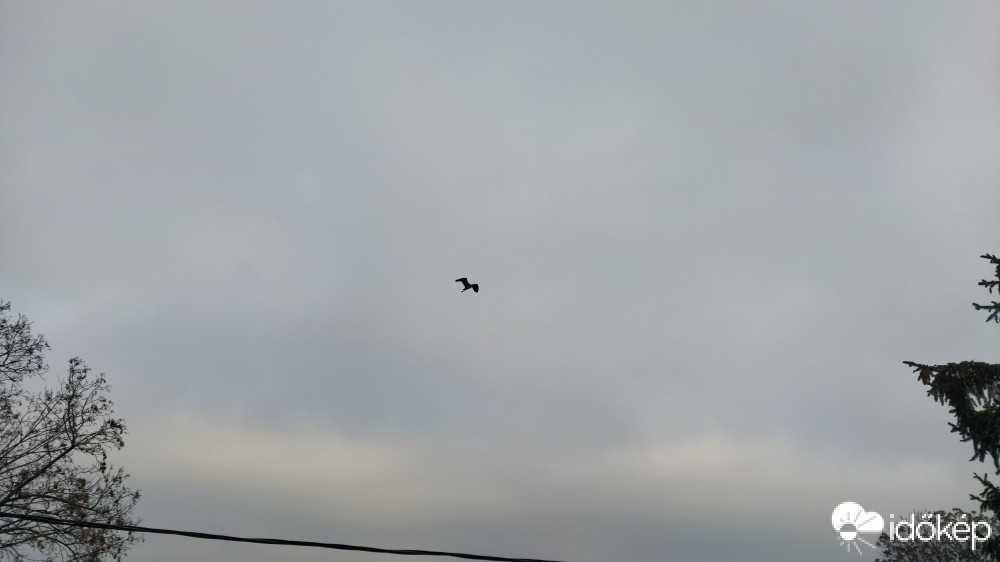 Budapest XX.ker - Pesterzsébet