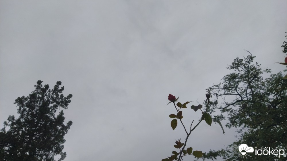 Budapest XV.ker - Újpalota