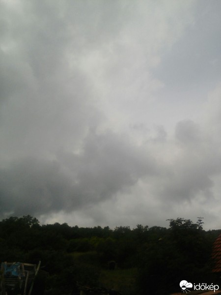 Szajk