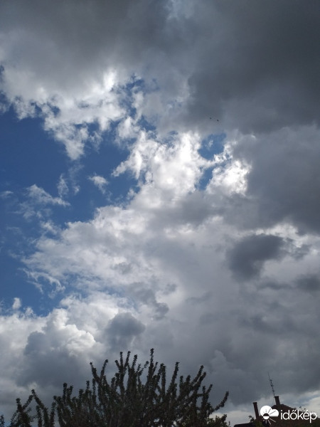 Észlelési fényképek