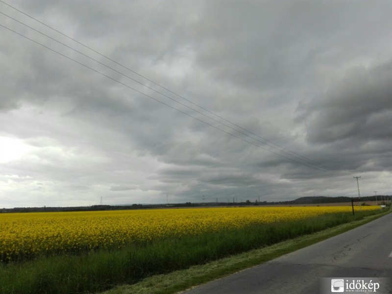 Észlelési fényképek