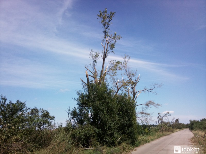 2010.08.16 tornádó után