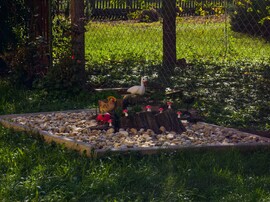 Nagykanizsa