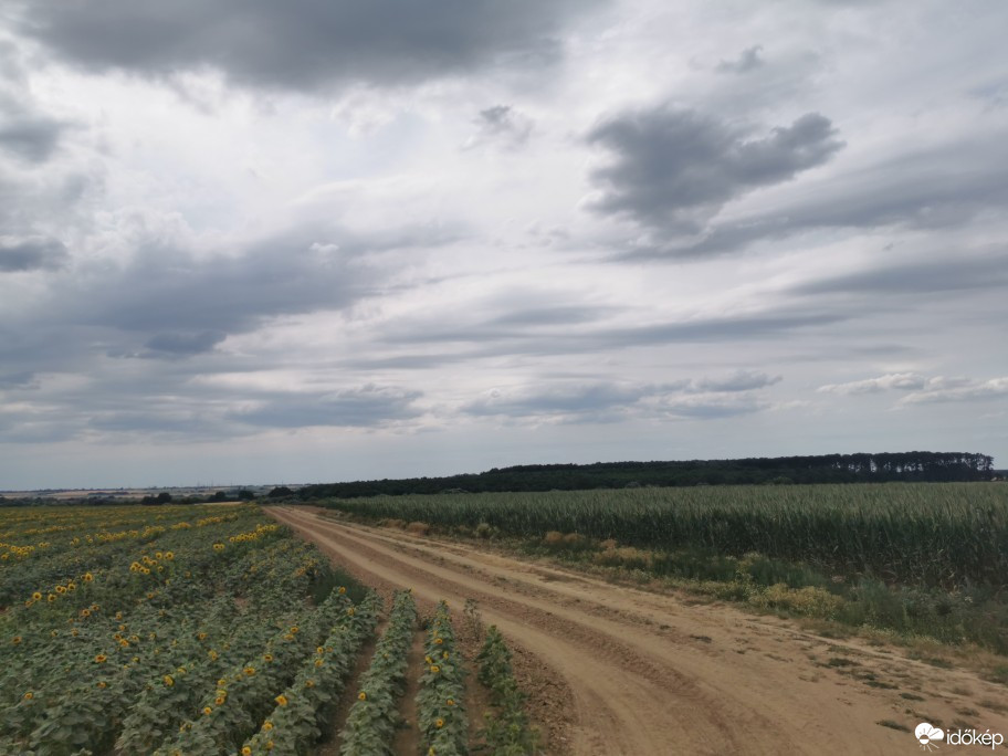 Észlelési fényképek