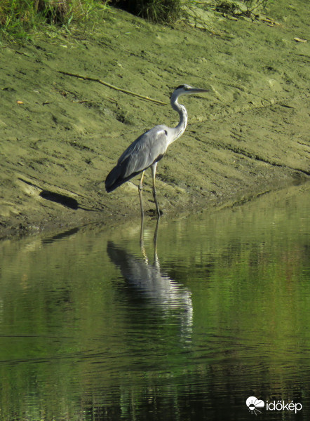 Vendég a Bara partján