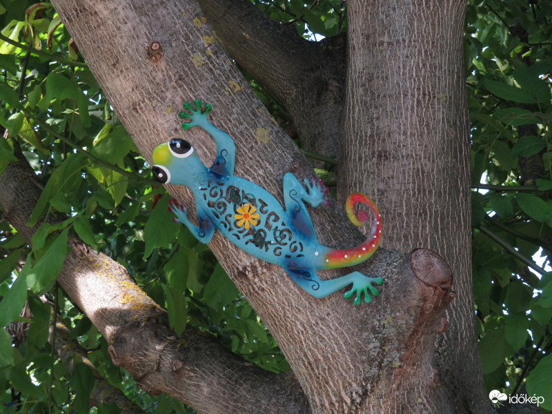 Hogy kik járnak az ágak között!