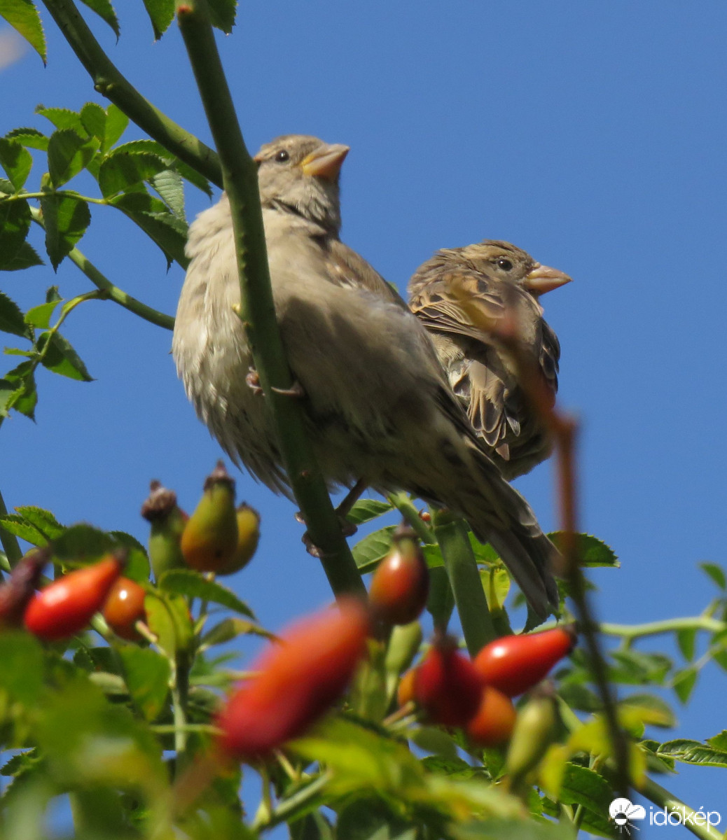 Eljött az ő idejük