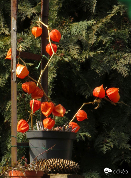 Lampionok, de vajon hol teleltek?