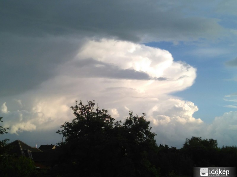 Észlelési fényképek