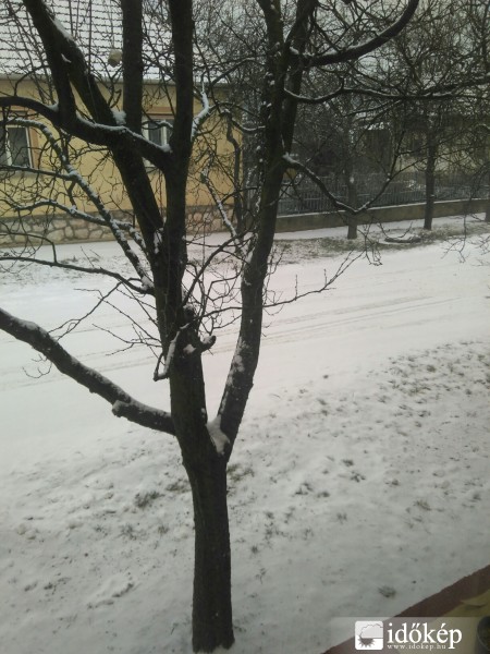 Észlelési fényképek