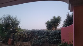 Murta Maria