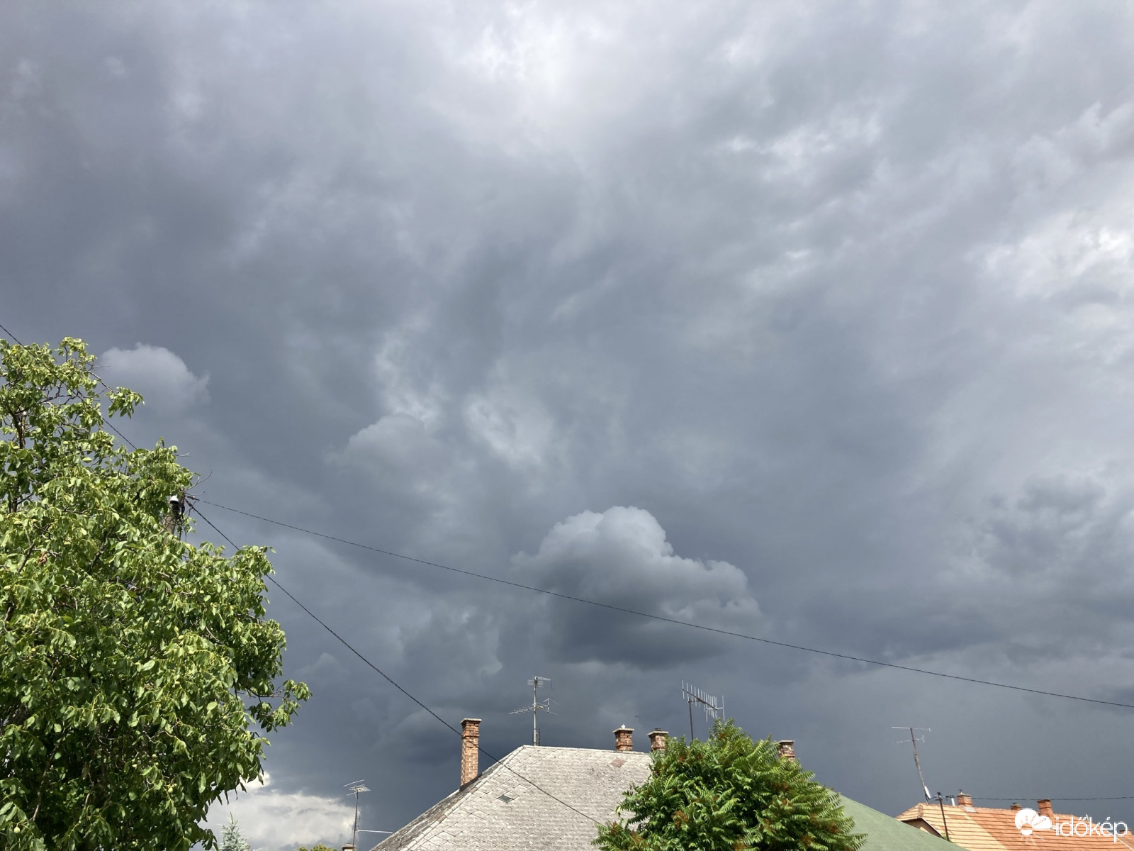 Észlelési fényképek