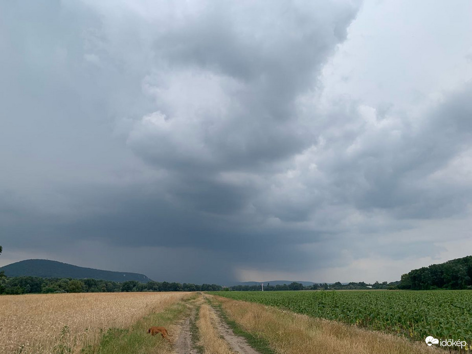 Észlelési fényképek