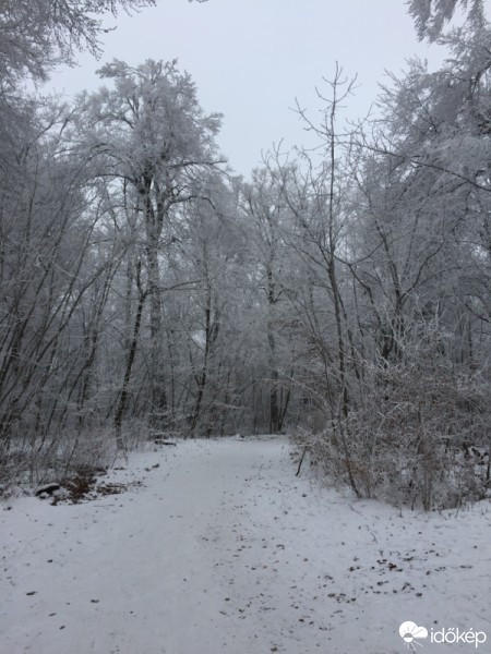 Budapest XII.ker - Szabadsághegy