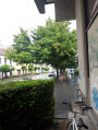 Szentendre