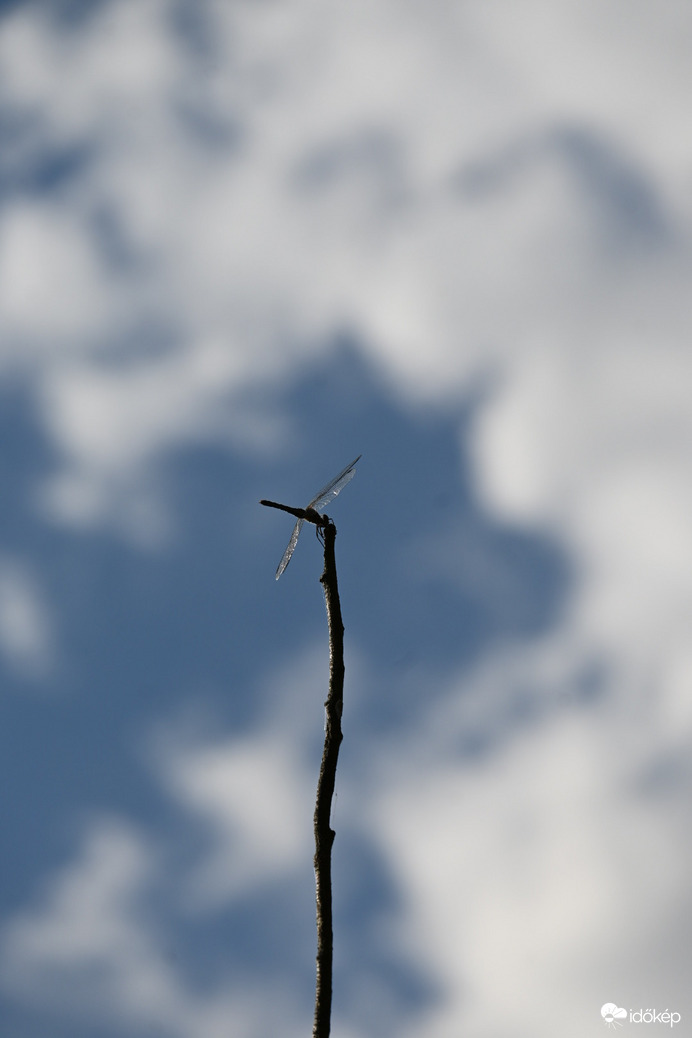 Ég és föld között