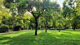 Budapest VII. ker