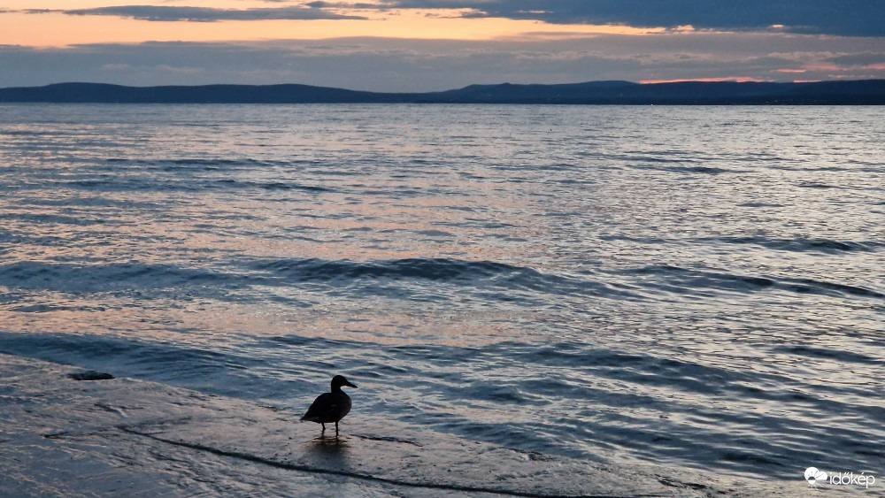 Balatonföldvár
