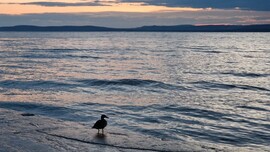 Balatonföldvár