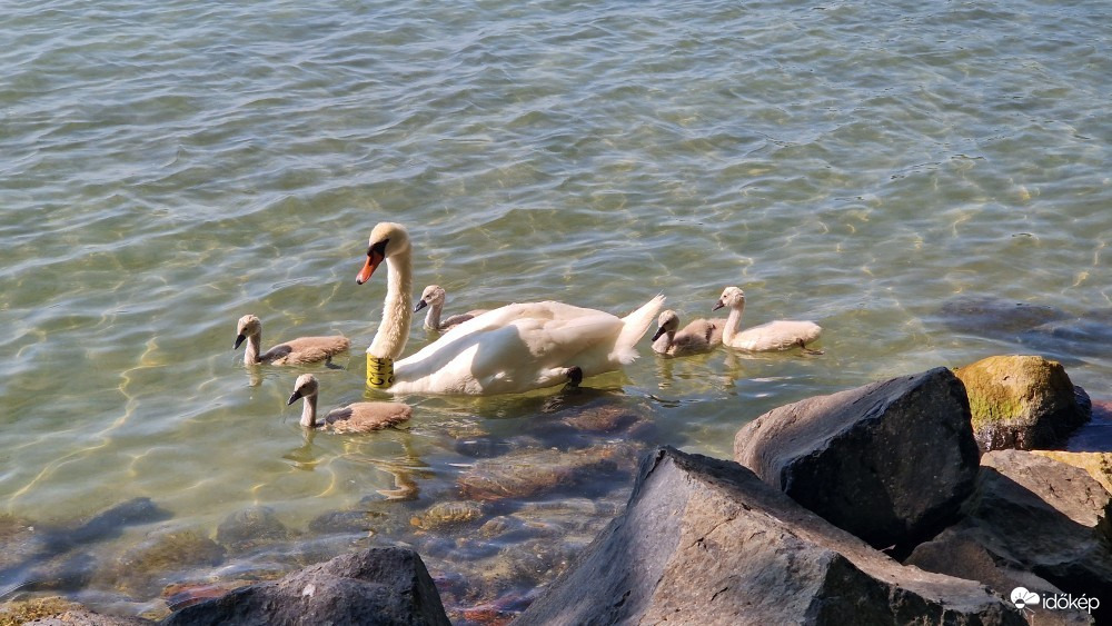 Balatonföldvár
